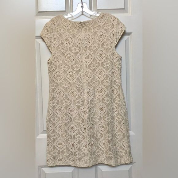 DRESS BEIGE LACE MINI WOMEN'S SIZE 23 STUDIO I SHEATH BEADED NECK DETAIL - Picture 3 of 8